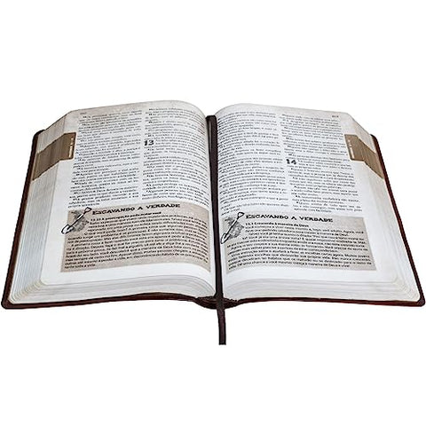 Image of BIBLIA EM PORTUGUES NTLH065BDA TAPA IMITACION CUERO MARRON