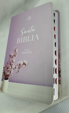 Image of Biblia RVR 1960 Letra Grande Mamual Rosa Flores Índice