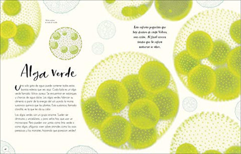 Image of Maravillas Naturales