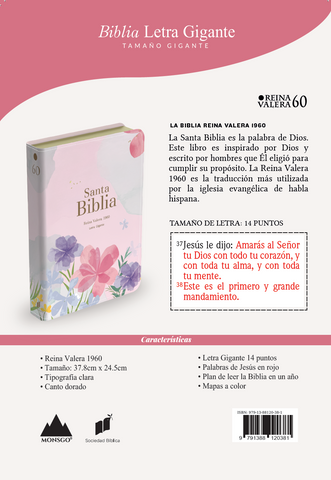 Image of BIBLIA RVR 1960 LETRA GIGANTE 14 PUNTOS SIMIL PIEL VIOLETA CLARO