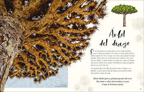 Image of Maravillas Naturales