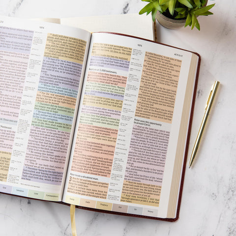 Image of KJV RAINBOW STUDY BIBLE, BURGUNDY, LT