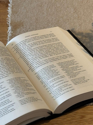 Image of EL NUEVO TESTAMENTO GRIEGO EDICION DEL LECTOR