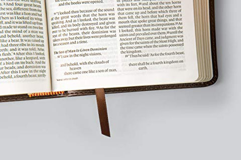 Image of ESV LARGE PRINT COMPACT BIBLE (TRUTONE BROWN, MOSAIC CROSS DESIGN)