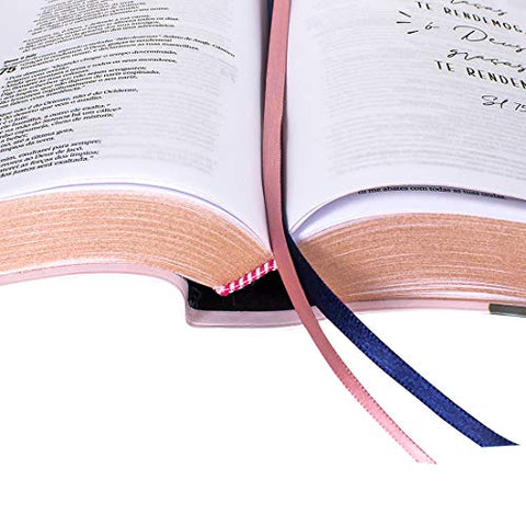 Image of Biblia Em Portugués NA085Jr Tapa Pu Flores Canto Pintado Bronce