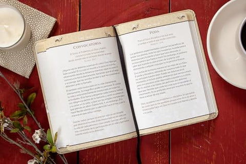 Image of Más Dulce que la Miel: 365 Devociones Diarias