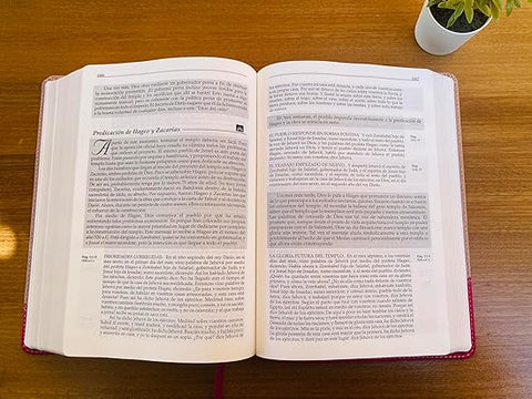 Image of Biblia RVR 1960 Orden Cronológico Símil Piel Duotone