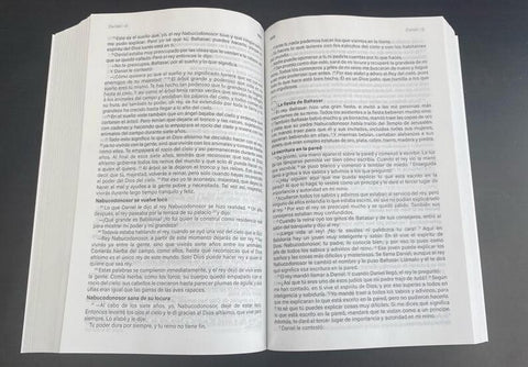 Image of Biblia BLB Lenguaje Básico para Nuevos Lectores Rústica