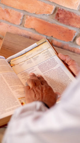 Image of Biblia NBLA Cronológica de Estudio