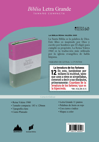 Image of Biblia RVR 1960 Compacta Letra Grande 11 puntos Símil Piel Magenta Verde Glacial Verde Grisaceo con Cierre y Índice