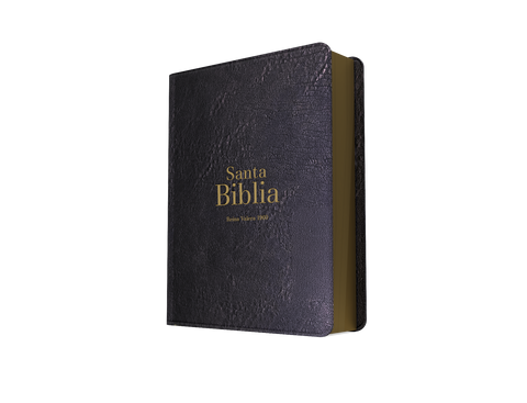 Image of BIBLIA RVR 1960 BOLSILLO SIMIL PIEL NEGRO