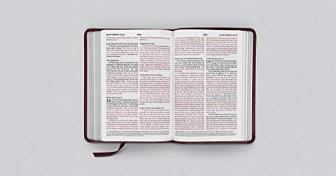 Image of ESV LARGE PRINT COMPACT BIBLE (TRUTONE MAHOGANY, BORDER DESIGN)