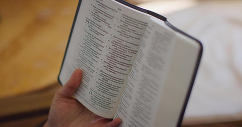 Image of ESV VALUE LARGE PRINT COMPACT BIBLE (TRUTONE, BLACK)