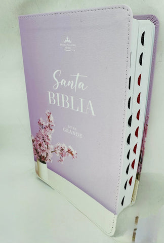 Image of Biblia RVR 1960 Letra Grande Mamual Rosa Flores Índice
