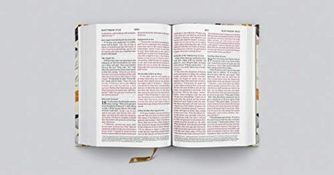 Image of ESV LARGE PRINT COMPACT BIBLE (SPRING BLOOM)