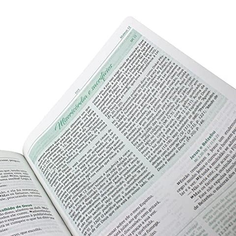 Image of Bíblia Em Portugués NAA de Estudo Conselheira Capa Couro Sintético: Nova Almeida Atualizada