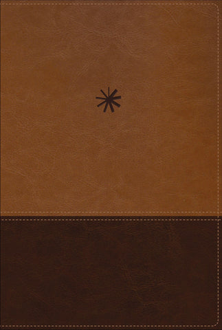 Image of Biblia NBLA Cronológica de Estudio