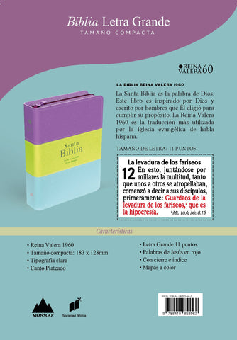 Image of Biblia RVR 1960 Compacta Letra Grande 11 puntos Símil Piel Lila Verde Aguamarina con Cierre y Índice
