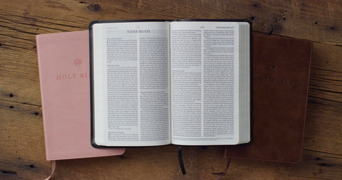 Image of ESV PREMIUM CHURCH BIBLE (TRUTONE, BLUSH ROSE)