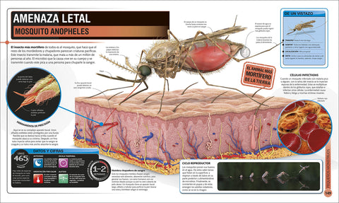 Image of Super Insectos