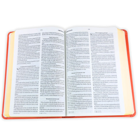 Image of BIBLIA RVR 1960 TAMANO MANUAL LETRA GRANDE 12 PT SIMIL PIEL LILA MORADO CON CIERRE BITONO