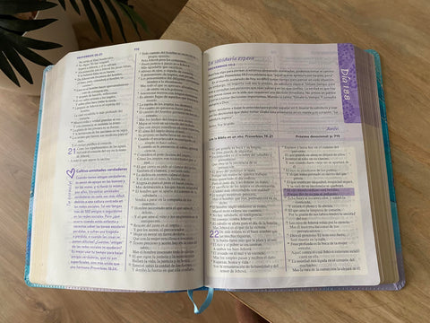 Image of Biblia RVR 1960 de una Joven Conforme al Corazón de Dios Edición Brisa