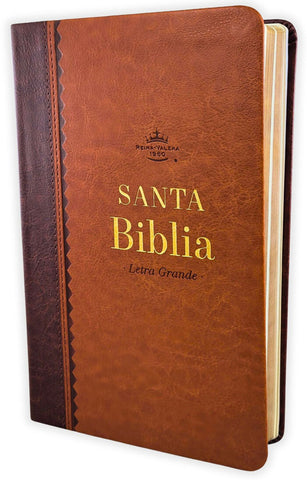 Image of BIBLIA RVR 1960 TAMANO MANUAL LETRA GRANDE 12 PT SIMIL PIEL NEGRO GRIS BITONO