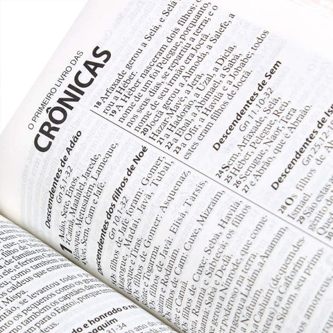Image of BIBLIA EM PORTUGUES RA045LG TAPA IMITACION CUERO ROSA CANTO FLORALES