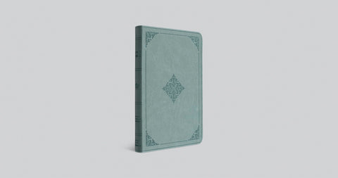Image of ESV VALUE THINLINE BIBLE (TRUTONE, PARIS SKY, FLEUR-DE-LIS DESIGN)