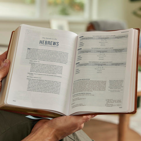 Image of NKJV LIFE IN CHRIST BIBLE: DISCOVERING, BELIEVING, AND REJOICING IN WHO GOD SAYS YOU ARE (NKJV, HARDCOVER, RED LETTER, COMFORT PRINT)