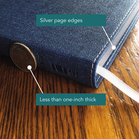 Image of NIV, Bible for Teens, Thinline Edition, Leathersoft, Blue, Red Letter, Comfort Print