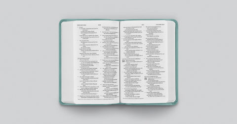 Image of ESV VALUE COMPACT BIBLE (TRUTONE, PARIS SKY, BRANCH DESIGN)