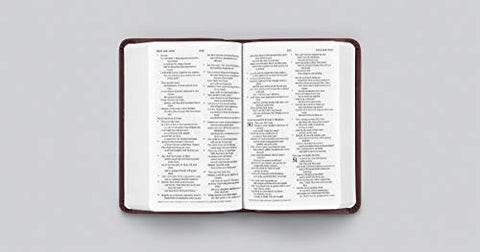 Image of ESV VALUE COMPACT BIBLE (TRUTONE, MAHOGANY, BORDER DESIGN)