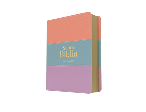 Image of BIBLIA RVR 1960 BOLSILLO SIMIL PIEL TRICOLOR PALO ROSA CELESTE LILA