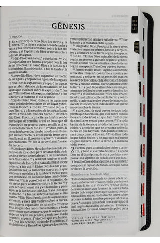 Image of Biblia RVR 1960 Ultrafina Marrón Piel Fabricada con Índice