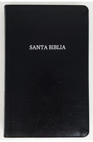 Biblia NVI Ultrafina Negro Piel Fabricada
