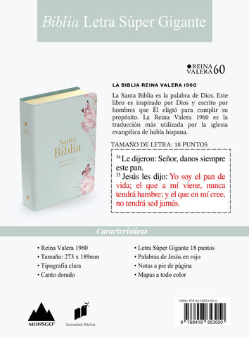 Image of Biblia RVR 1960 Letra Súper Gigante Símil Piel Salvia Claro