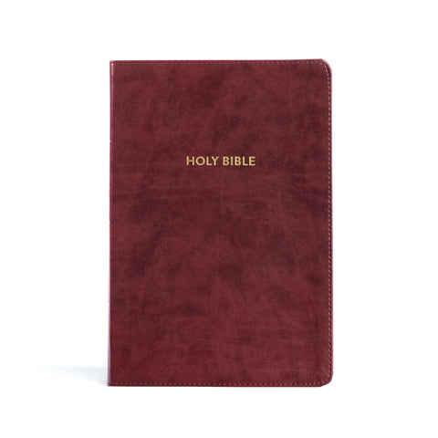 Image of KJV RAINBOW STUDY BIBLE, BURGUNDY, LT