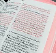 Image of BIBLIA RVR 1960 OBSEQUIOS Y PREMIOS ROSA FLORAL CON CIERRE