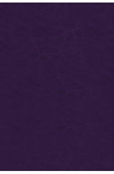 Image of Biblia RVR 1977 Referencia Thompson Piel Azul
