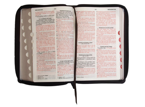 Image of BIBLIA RVR 1960 LETRA GRANDE TAMANO MANUAL SIMIL PIEL DUOTONE CAFE CAFE CON INDICE CON CIERRE