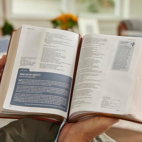 Image of NKJV LIFE IN CHRIST BIBLE: DISCOVERING, BELIEVING, AND REJOICING IN WHO GOD SAYS YOU ARE (NKJV, HARDCOVER, RED LETTER, COMFORT PRINT)