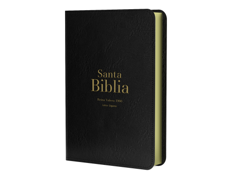 Image of BIBLIA RVR 1960 LETRA GIGANTE 14 PUNTOS SIMIL PIEL NEGRO