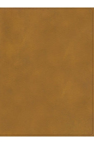 Image of Biblia RVR 1960 Ilustrada de la Tierra Santa Marrón Símil Piel con Índice