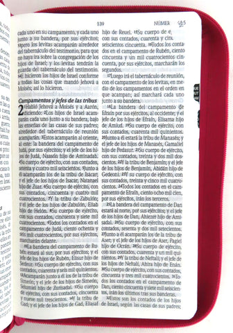 Image of Biblia RVR 1960 Promesas Letra Grande Tamaño Manual Rosada Cierre con Índice