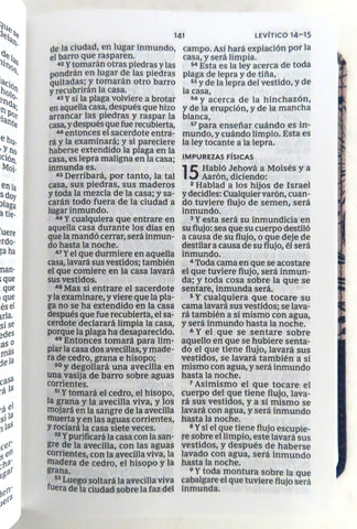 Image of Biblia RVR 1960 Compacta Tapa Dura Azul Floral