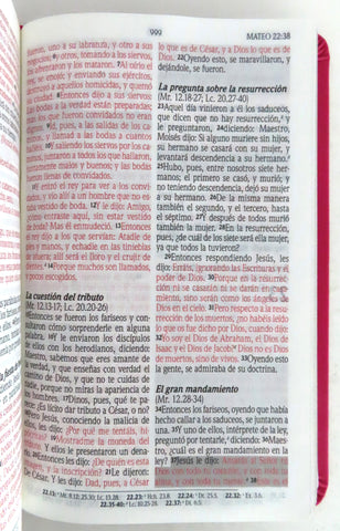 Image of Biblia RVR 1960 Promesas Letra Grande Tamaño Manual Rosada