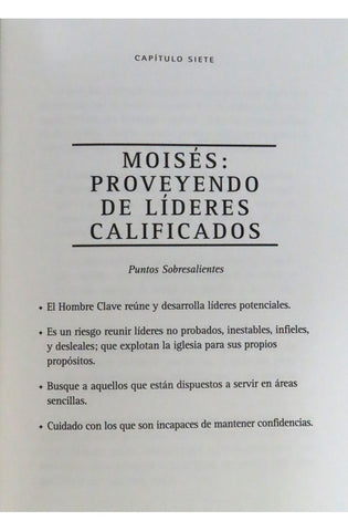 Image of Claves Efectivas para el Liderazgo de Éxito
