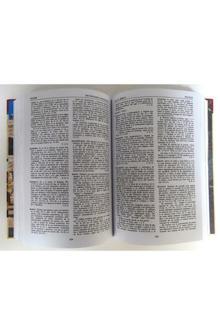 Image of Diccionario Ilustrado de la Biblia