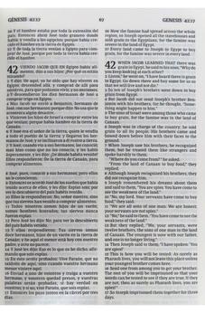 Image of Biblia RVR 1960 CSB Bilingüe Negro Símil Piel